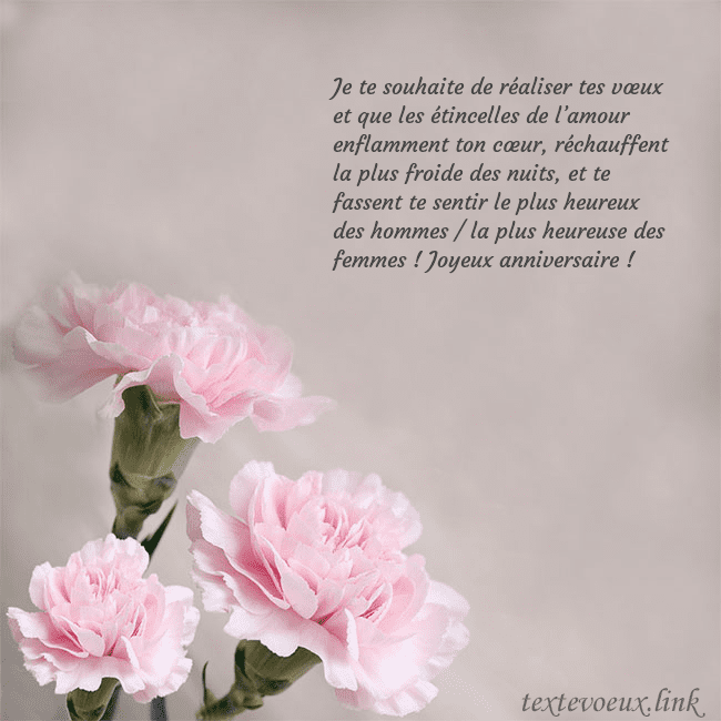 Carte de voeux avec oeillets roses