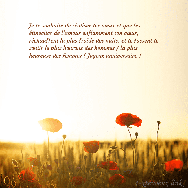 Carte postale électronique avec soleil et champ de coquelicots