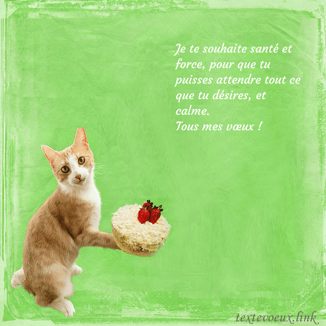 Carte d'anniversaire avec chat et gâteau