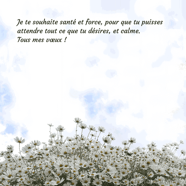 Carte de voeux avec marguerites