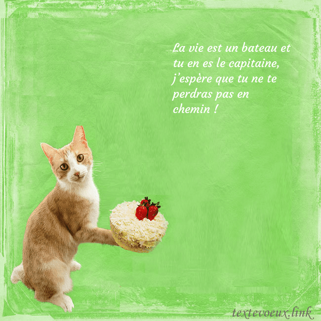 Carte d'anniversaire avec chat et gâteau