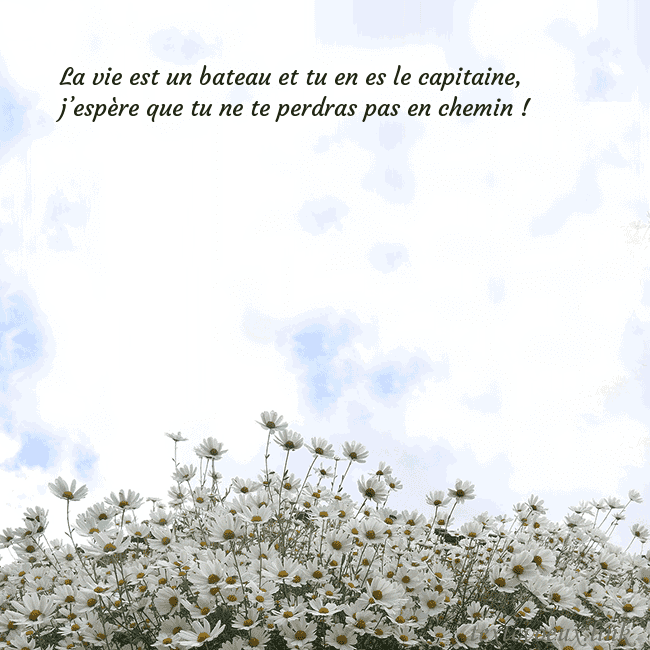 Carte de voeux avec marguerites