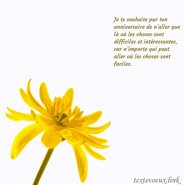 Carte de voeux avec fleur jaune