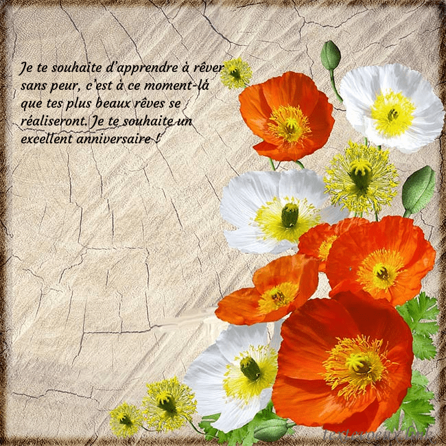 Carte d'anniversaire avec des coquelicots
