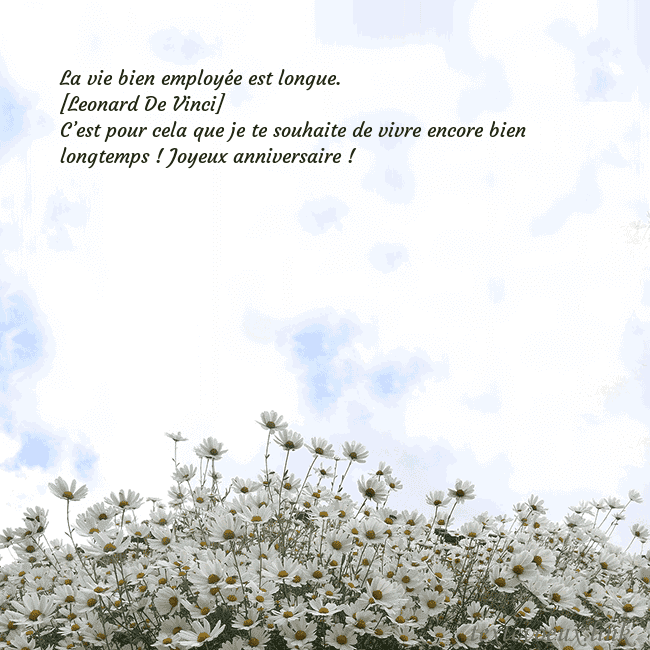 Carte de voeux avec marguerites