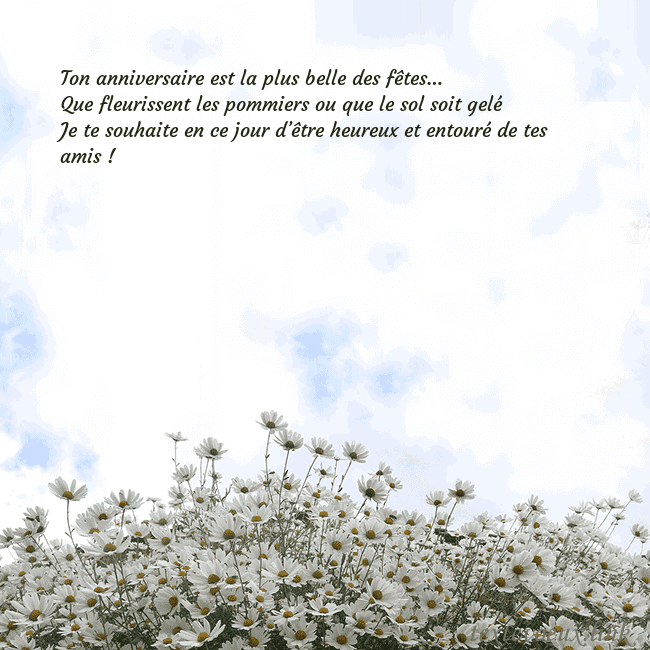 Carte de voeux avec marguerites