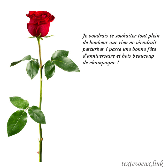 Carte de vœux avec une rose rouge