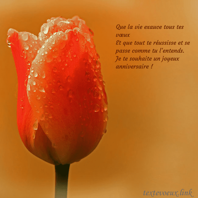 Carte de voeux avec tulipe rouge