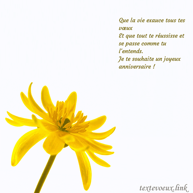Carte de voeux avec fleur jaune