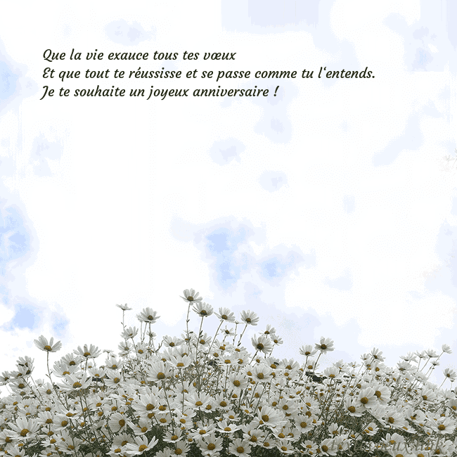 Carte de voeux avec marguerites