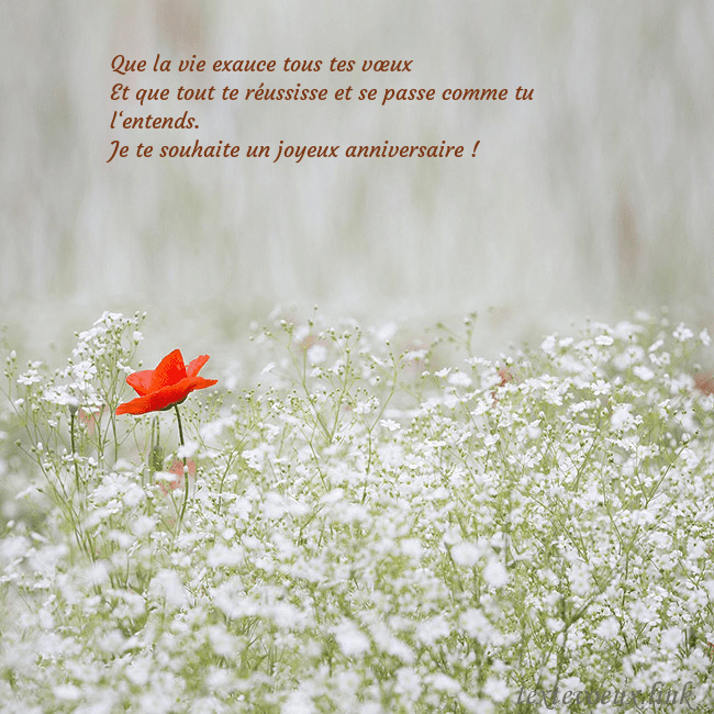 Carte électronique à fleurs blanches