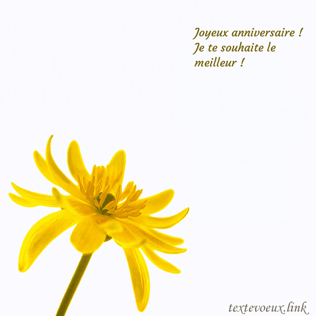 Carte de voeux avec fleur jaune
