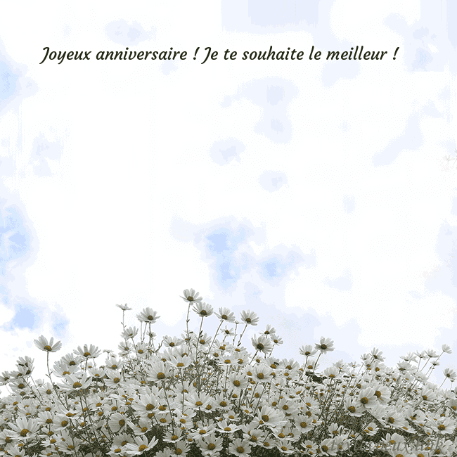 Carte de voeux avec marguerites