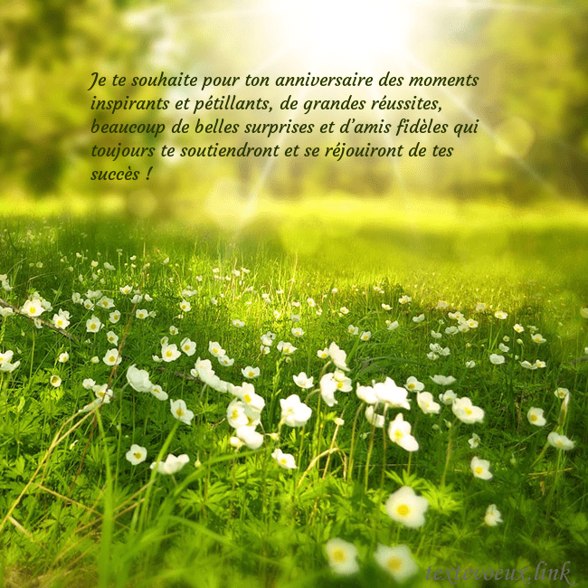 Carte électronique avec soleil et prairie