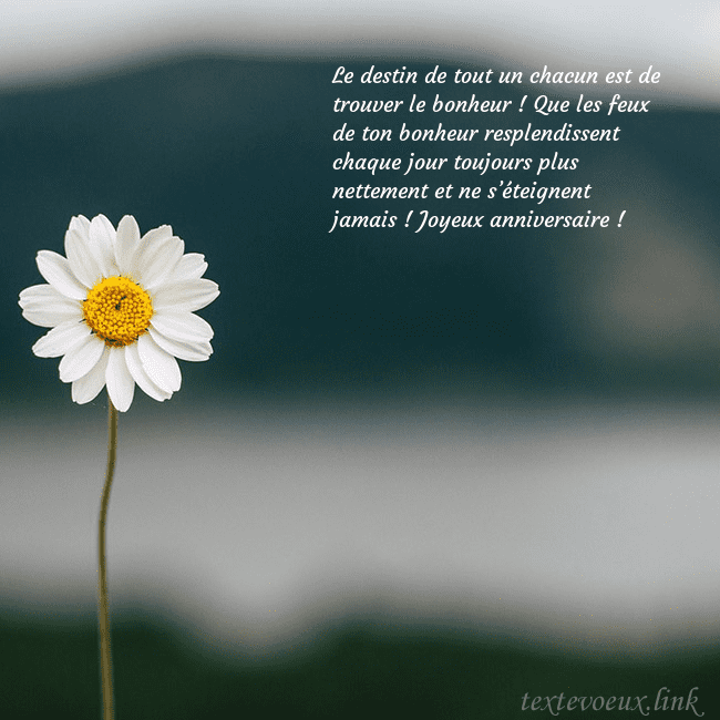 E-carte avec marguerite
