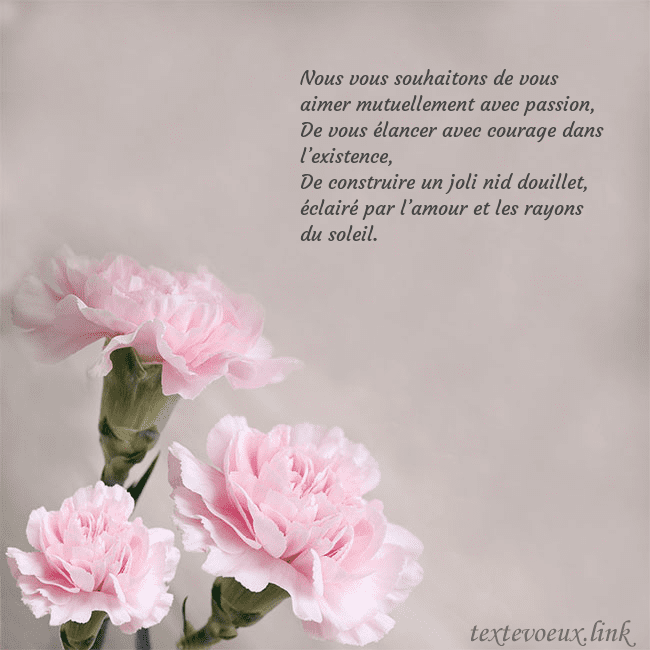 Carte de voeux avec oeillets roses Nous vous souhaitons de vous aimer mutuellement av Carte de voeux avec oeillets roses