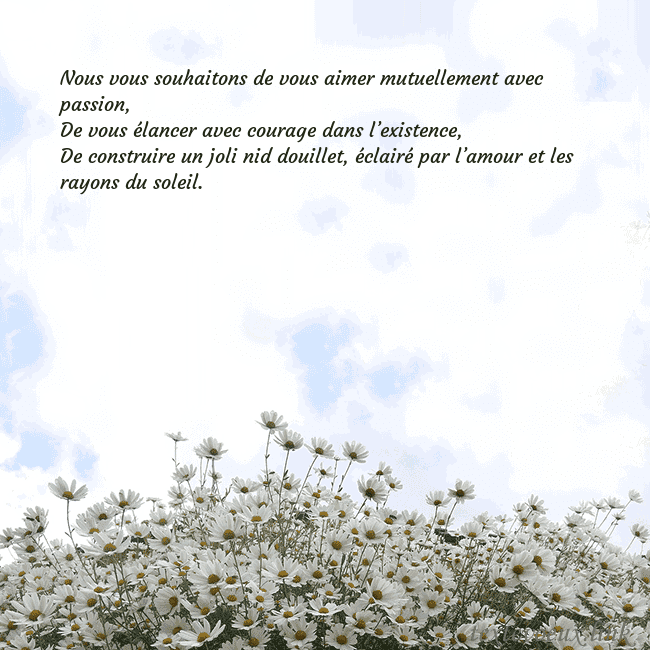 Carte de voeux avec marguerites Nous vous souhaitons de vous aimer mutuellement av Carte de voeux avec marguerites