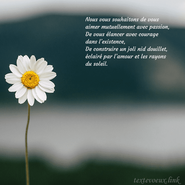 E-carte avec marguerite Nous vous souhaitons de vous aimer mutuellement av E-carte avec marguerite
