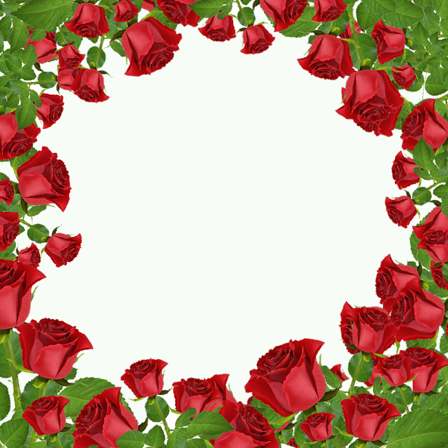 Cartes de Saint-Valentin Cartes de vœux avec beaucoup de roses