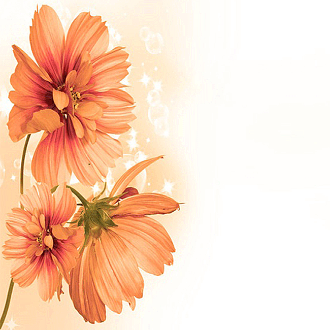 Cartes d'anniversaire personnalisées Carte de vœux avec des fleurs d'oranger