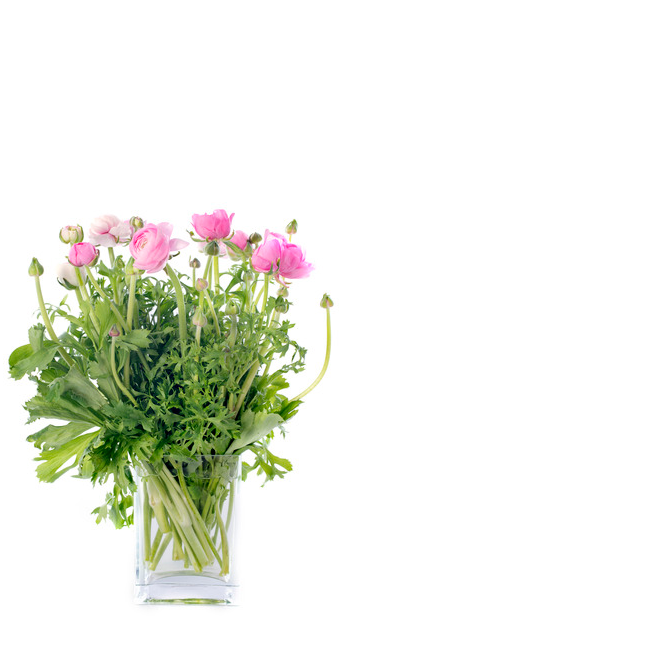 Cartes d'anniversaire personnalisées Cartes de vœux avec des fleurs dans un vase