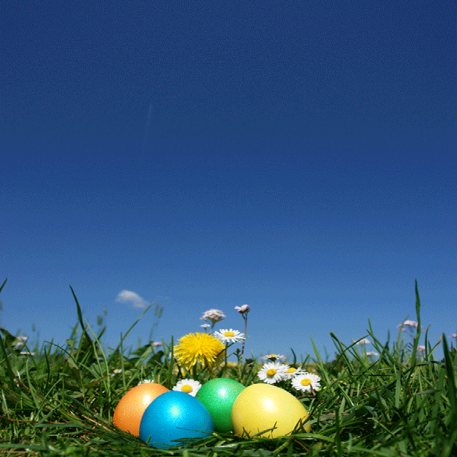 Vœux de Pâques par email Velykos 12