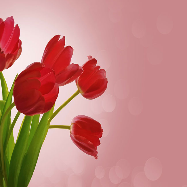 Cartes d'anniversaire personnalisées Carte d'anniversaire avec des tulipes rouges