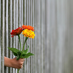 Cartes d'anniversaire personnalisées Carte électronique avec un bouquet de fleurs